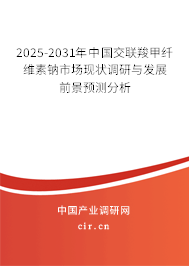 2025-2031年中國交聯羧甲纖維素鈉市場現狀調研與發展前景預測分析