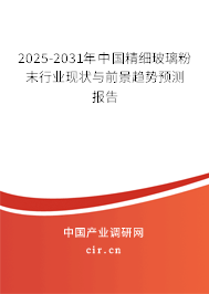 2025-2031年中國精細玻璃粉末行業(yè)現(xiàn)狀與前景趨勢預測報告