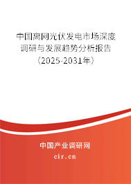 中國(guó)離網(wǎng)光伏發(fā)電市場(chǎng)深度調(diào)研與發(fā)展趨勢(shì)分析報(bào)告（2025-2031年）