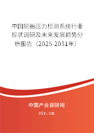 中國輪胎壓力檢測系統行業現狀調研及未來發展趨勢分析報告（2025-2031年）