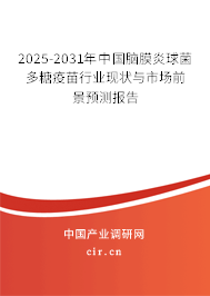 2025-2031年中國腦膜炎球菌多糖疫苗行業現狀與市場前景預測報告