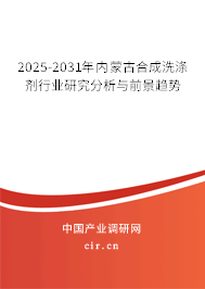 2025-2031年內蒙古合成洗滌劑行業研究分析與前景趨勢