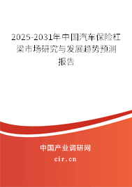 2024-2030年中國汽車保險杠梁市場研究與發展趨勢預測報告