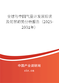 全球與中國氣量計發展現狀及前景趨勢分析報告（2025-2031年）