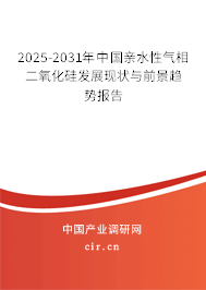2025-2031年中國親水性氣相二氧化硅發展現狀與前景趨勢報告