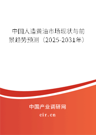 中國人造黃油市場現狀與前景趨勢預測（2025-2031年）