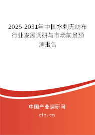 2025-2031年中國水刺無紡布行業發展調研與市場前景預測報告