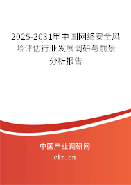 2025-2031年中國網(wǎng)絡安全風險評估行業(yè)發(fā)展調(diào)研與前景分析報告