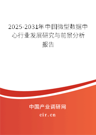2025-2031年中國微型數據中心行業發展研究與前景分析報告