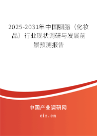 2025-2031年中國胭脂（化妝品）行業現狀調研與發展前景預測報告