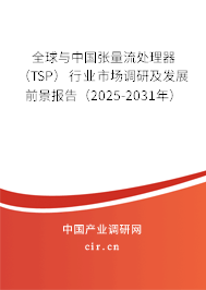 全球與中國張量流處理器（TSP）行業(yè)市場調(diào)研及發(fā)展前景報(bào)告（2025-2031年）