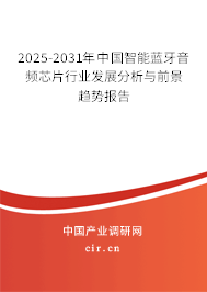 2025-2031年中國智能藍牙音頻芯片行業發展分析與前景趨勢報告