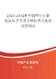 2025-2031年中國中小企業(yè)B2B電子商務(wù)市場現(xiàn)狀與發(fā)展前景預(yù)測