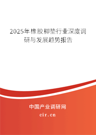 2025年橡膠腳墊行業深度調研與發展趨勢報告
