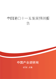 中國港口十一五發展預測報告