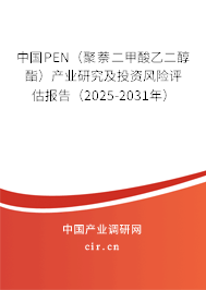 中國PEN（聚萘二甲酸乙二醇酯）產(chǎn)業(yè)研究及投資風(fēng)險評估報告（2025-2031年）
