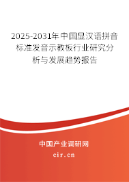 2023-2029年中國顯漢語拼音標準發音示教板行業研究分析與發展趨勢報告