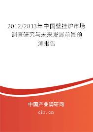 2012/2013年中國壁掛爐市場調查研究與未來發展前景預測報告