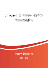 2025年中國豎琴行業研究及發展趨勢報告