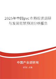 2025年中國pvc市場現狀調研與發展前景預測分析報告