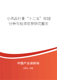 小商品行業“十二五”規劃分析與投資前景研究報告