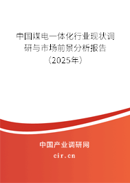 中國煤電一體化行業(yè)現狀調研與市場前景分析報告（2025年）