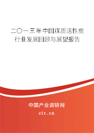 二〇一三年中國煤質活性炭行業發展回顧與展望報告