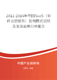 2012-2016年中國SaaS（軟件運(yùn)營服務(wù)）盈利模式調(diào)研及發(fā)展戰(zhàn)略分析報告
