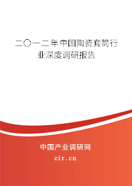 二〇一二年中國陶瓷套筒行業深度調研報告