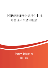 中國縫紉機行業標桿企業戰略管理研究咨詢報告
