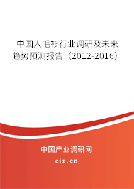 中國人毛衫行業調研及未來趨勢預測報告（2012-2016）