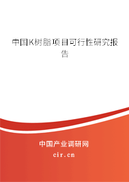 中國(guó)K樹脂項(xiàng)目可行性研究報(bào)告