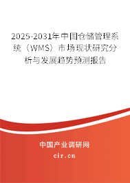 2025-2031年中國倉儲管理系統（WMS）市場現狀研究分析與發展趨勢預測報告
