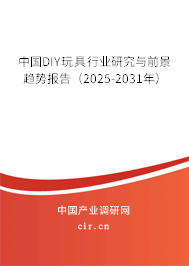 中國DIY玩具行業研究與前景趨勢報告（2025-2031年）