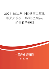 2025-2031年中國(guó)低壓二氧化碳滅火系統(tǒng)市場(chǎng)研究分析與前景趨勢(shì)預(yù)測(cè)