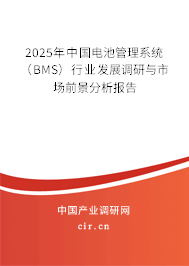 2025年中國電池管理系統（BMS）行業發展調研與市場前景分析報告