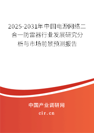 2025-2031年中國電源網絡二合一防雷器行業發展研究分析與市場前景預測報告