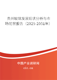 貴州玻璃發(fā)展現(xiàn)狀分析與市場(chǎng)前景報(bào)告（2025-2031年）