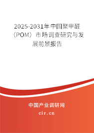 2025-2031年中國聚甲醛（POM）市場調查研究與發展前景報告
