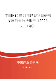 中國K12培訓市場現狀調研與發展前景分析報告（2025-2031年）