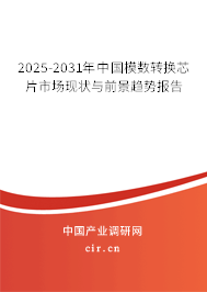 2025-2031年中國模數轉換芯片市場現狀與前景趨勢報告