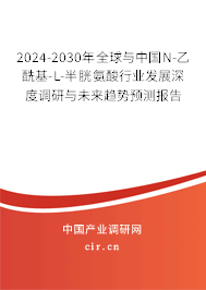 2024-2030年全球與中國N-乙酰基-L-半胱氨酸行業發展深度調研與未來趨勢預測報告