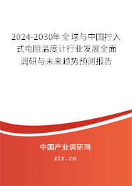 2024-2030年全球與中國擰入式電阻溫度計行業發展全面調研與未來趨勢預測報告