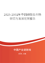 2025-2031年中國硼酸鹽市場研究與發展前景報告