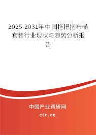 2025-2031年中國拖把拖布桶套裝行業現狀與趨勢分析報告