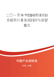 二〇一三年中國網絡財經信息服務行業發展回顧與展望報告