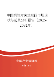 中國蝸輪對夾式蝶閥市場現狀與前景分析報告（2024-2030年）