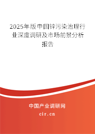 2025年版中國鋅污染治理行業深度調研及市場前景分析報告