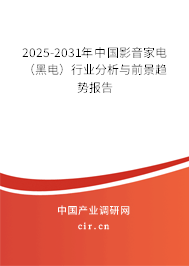 2025-2031年中國影音家電（黑電）行業分析與前景趨勢報告