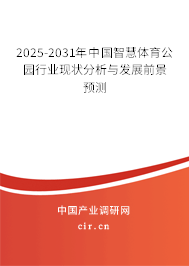 2025-2031年中國智慧體育公園行業現狀分析與發展前景預測
